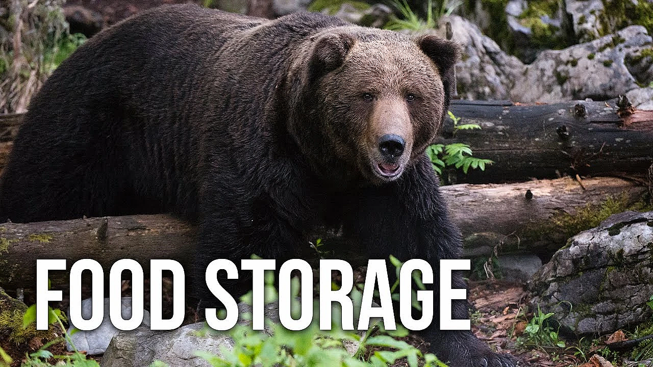 How To Store Food Safely In Grizzly Country