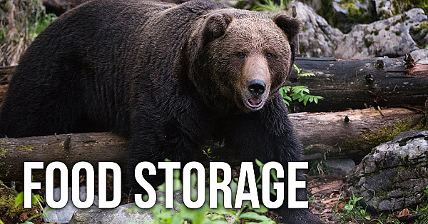 How To Store Food Safely In Grizzly Country