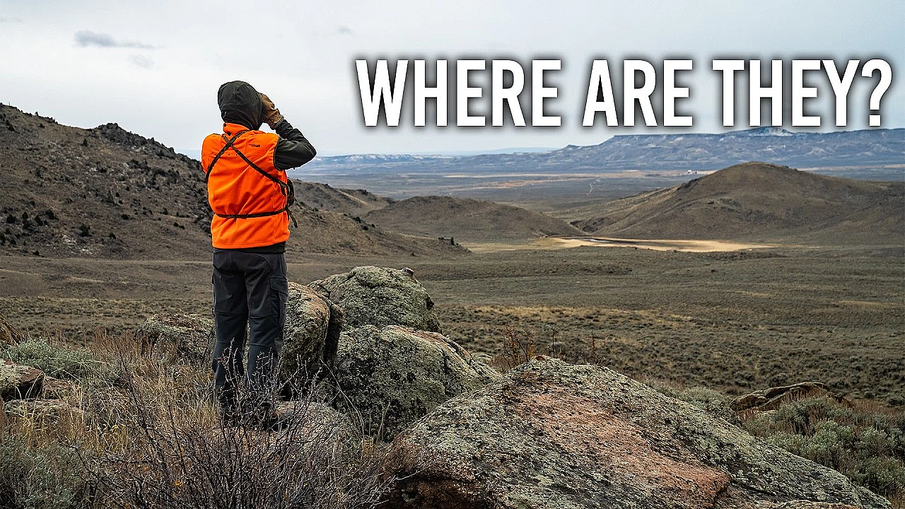 How To Find Animals In Low Density Areas