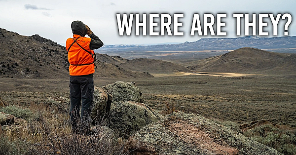 How To Find Animals In Low Density Areas