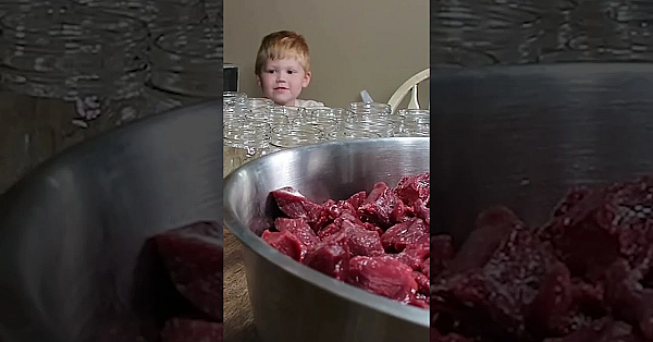 Families Who Hunt Together Stay Together! #hunting #wildfood #deer