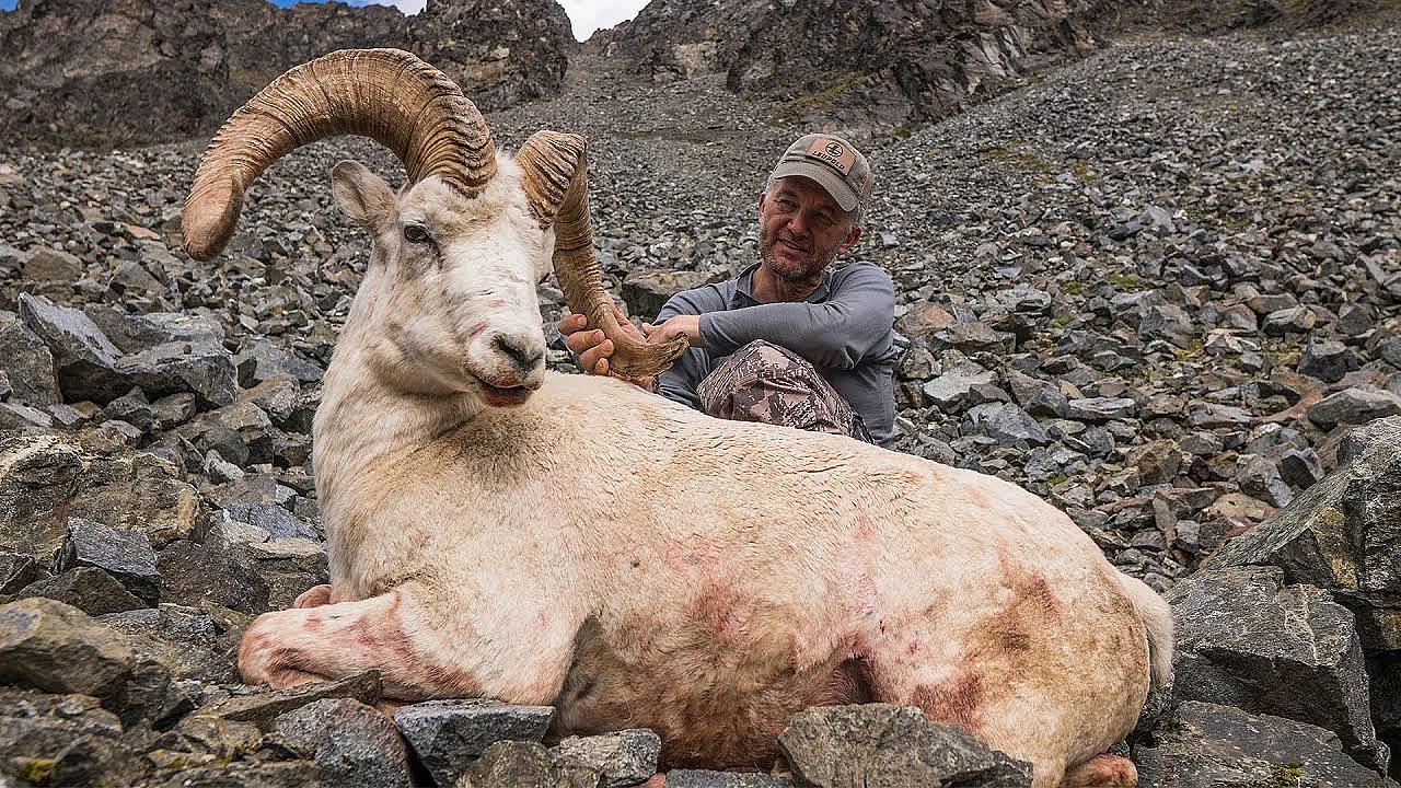 Win A Dall Sheep Hunt With Me!