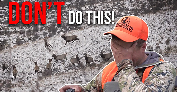 3 Mistakes Elk Hunters Make!