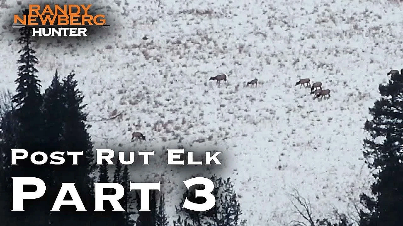 2018 Montana Post Rut Elk Hunt With Randy Newberg (part 3)