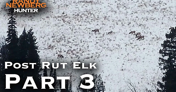 2018 Montana Post Rut Elk Hunt With Randy Newberg (part 3)