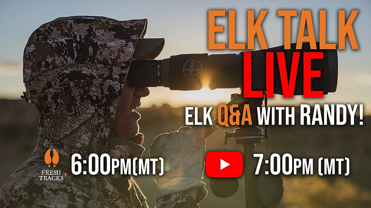 Elk Talk Live! // Ep 115