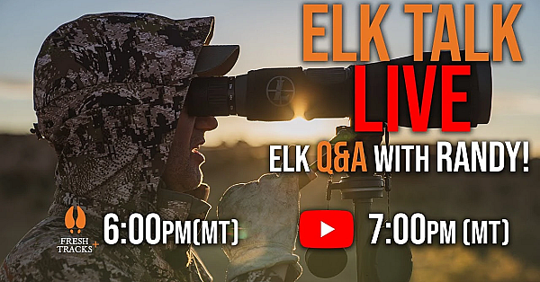 Elk Talk Live! // Ep 115