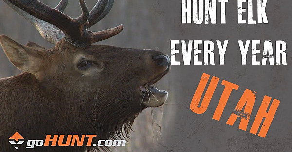 Hunt Elk Every Year: Utah And The Gohunt Insider