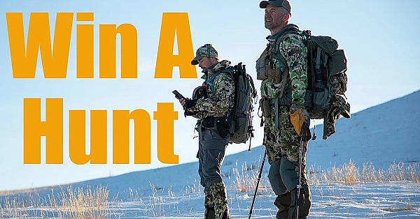 Come Elk Hunting With Me!