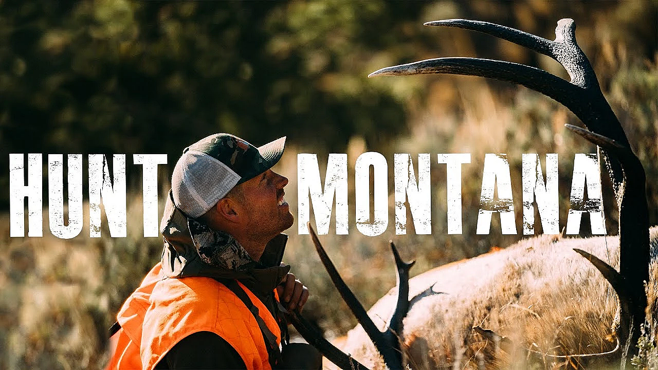 How To Hunt Montana