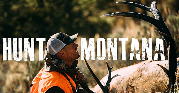 How To Hunt Montana