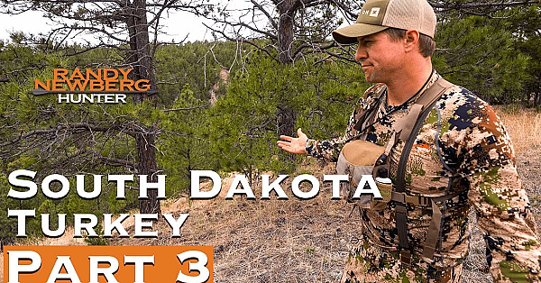 2019 South Dakota Turkey (part 3)
