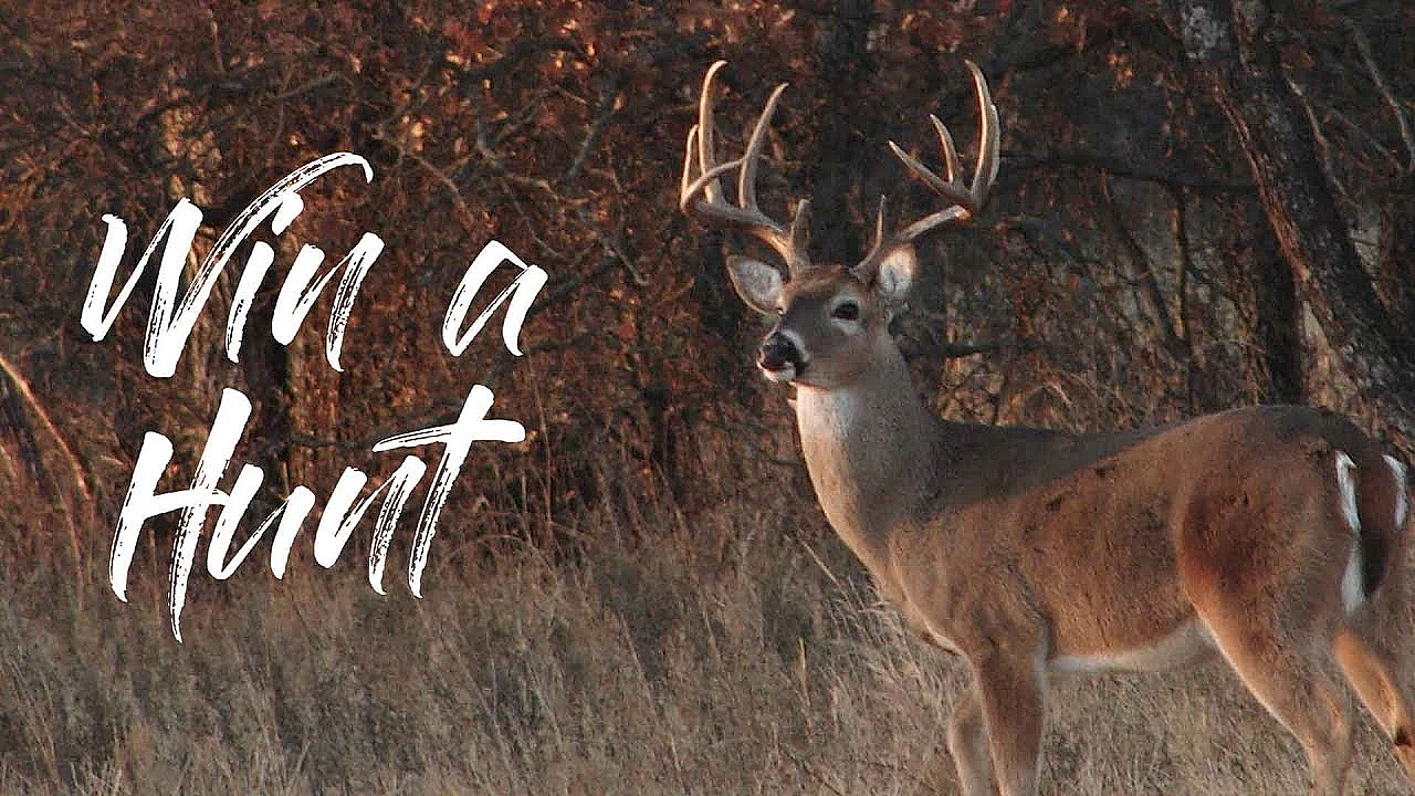 How To Win A Free Hunt With Bowtech
