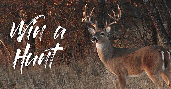 How To Win A Free Hunt With Bowtech