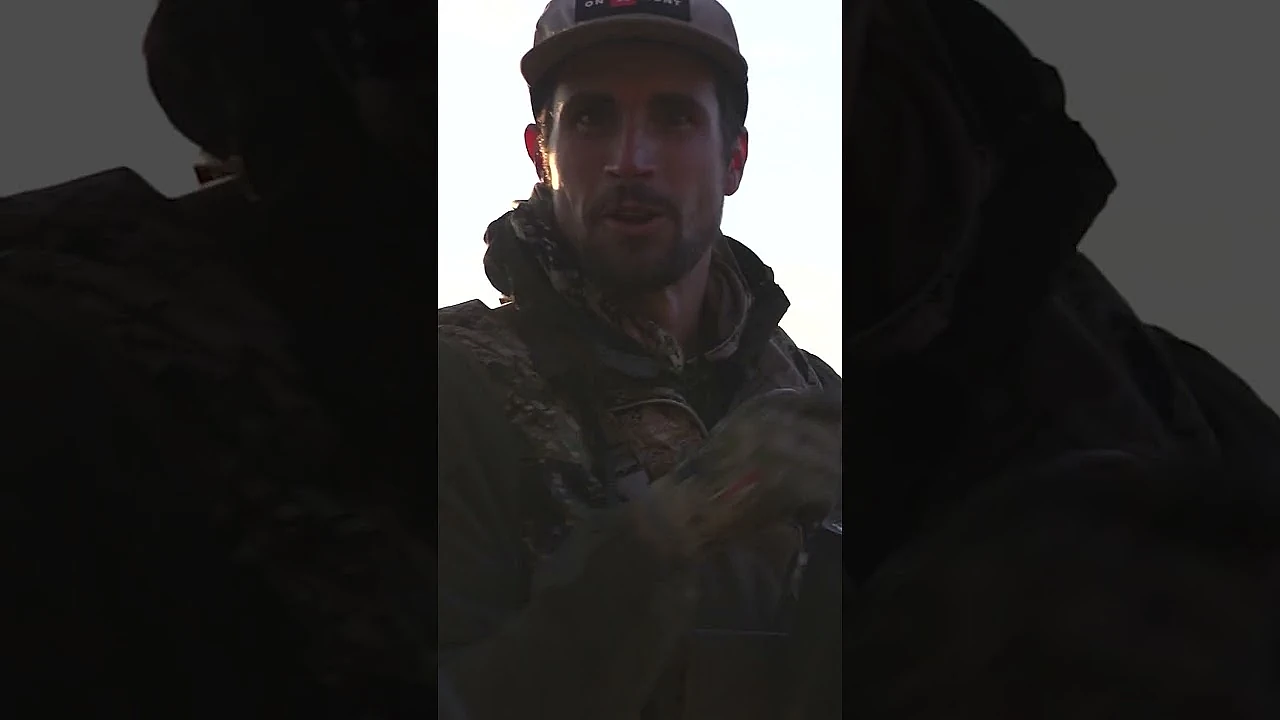 Archery Mule Deer Hunting at its FINEST!