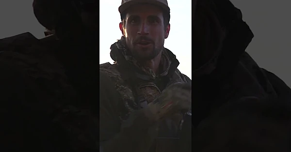 Archery Mule Deer Hunting at its FINEST!
