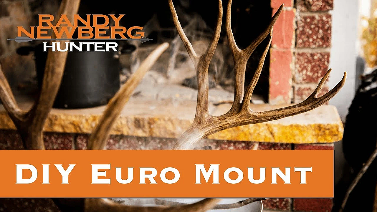 Michael's First Diy Euro Mount
