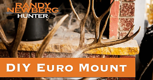 Michael's First Diy Euro Mount