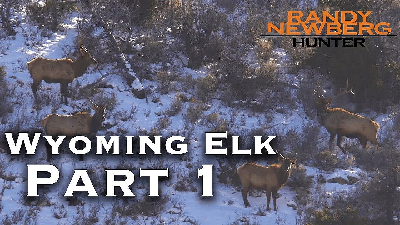 2018 Wyoming Late Season Elk Hunt With Randy And Matthew Newberg (part 1)