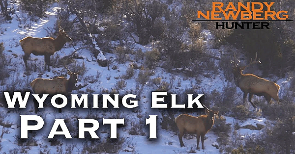 2018 Wyoming Late Season Elk Hunt With Randy And Matthew Newberg (part 1)
