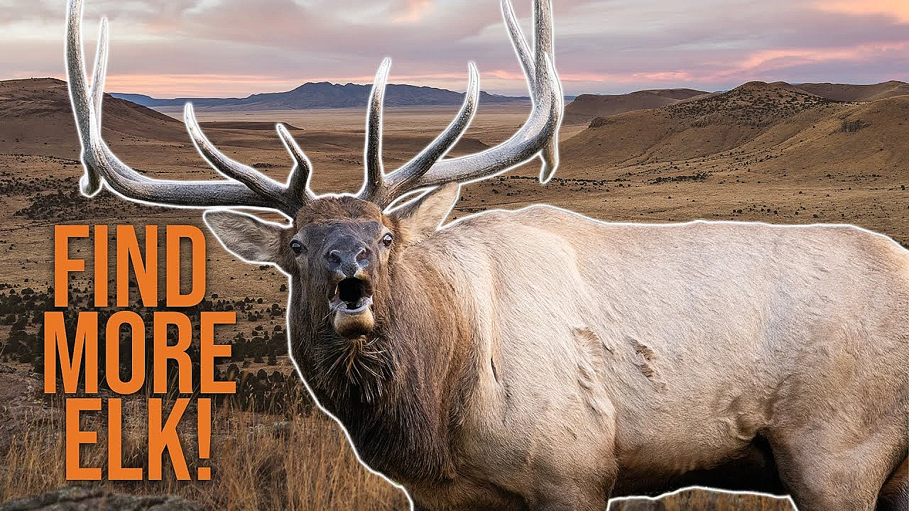 How To E-scout Elk On Public Land (pt.1)