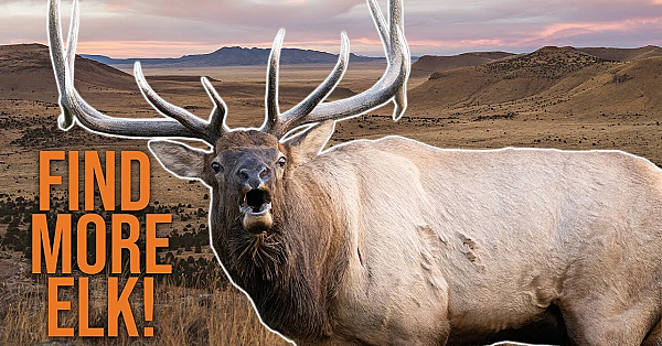 How To E-scout Elk On Public Land (pt.1)