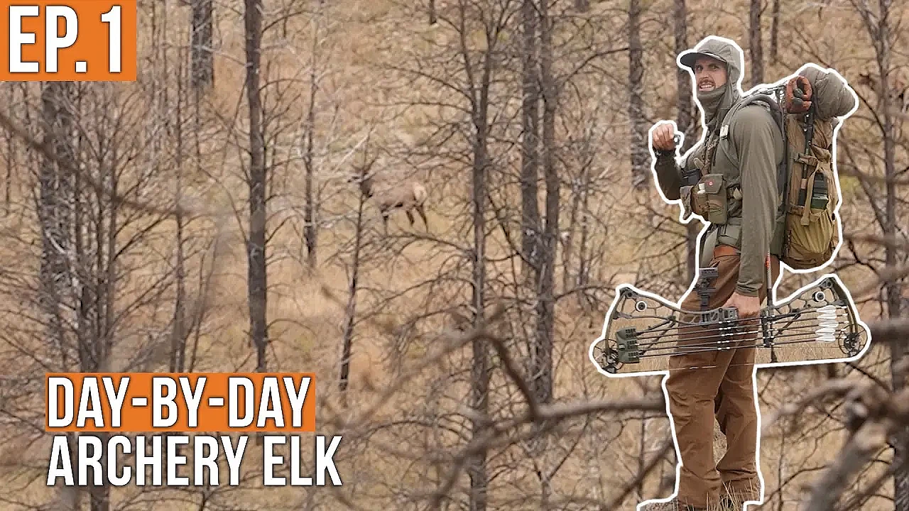 We're In 'Em! | Archery Elk