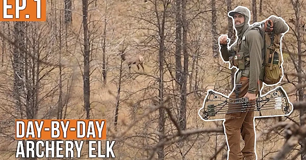 We're In 'Em! | Archery Elk
