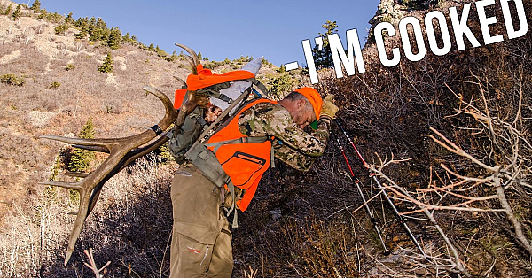 Are You Ready For Elk Season? We Put Ourselves To The Test