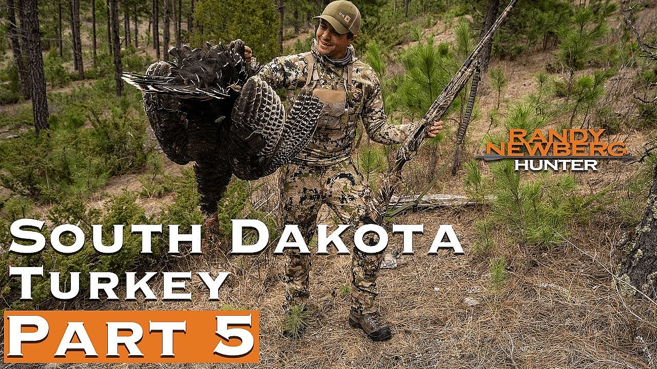 2019 South Dakota Turkey (part 5)