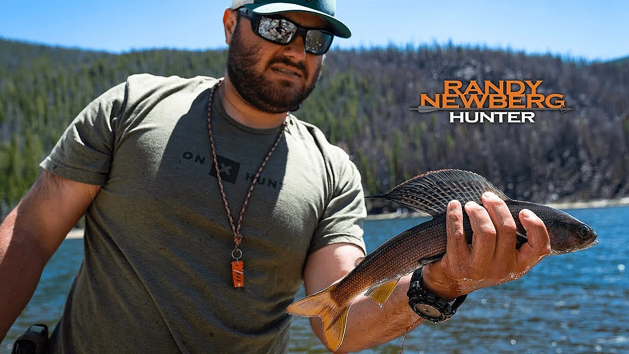 Grayling Fishing In Montana (catch And Cook)