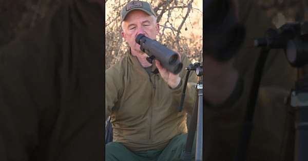 Choosing The Right Optics For Deer Hunting #hunting #binoculars #muledeer #couesdeer