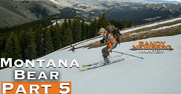 2019 Montana Spring Bear Season (part 5)