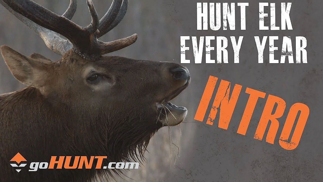 Hunt Elk Every Year: Introduction
