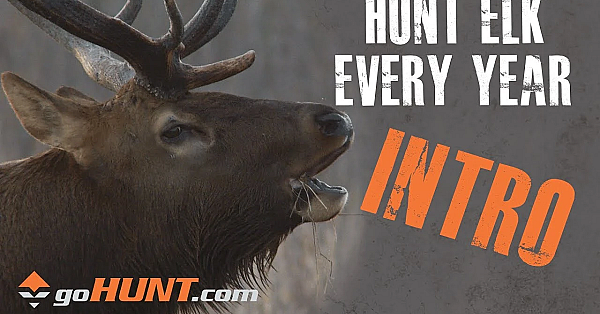 Hunt Elk Every Year: Introduction