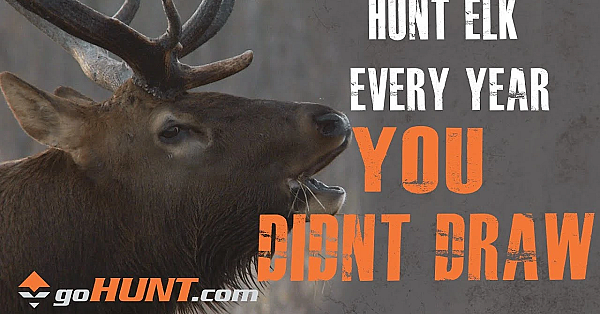 Hunt Elk Every Year: How You Can Still Hunt Elk This Year With Gohunt Insider