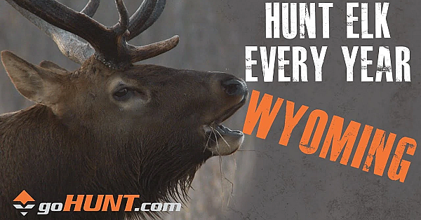 Hunt Elk Every Year: Wyoming And The Gohunt Insider