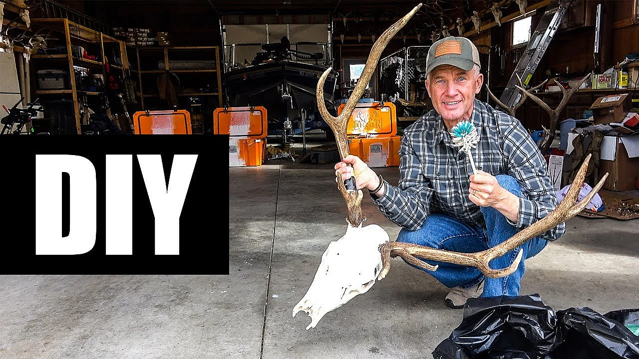 How To Do A European Mount (the Easy Way)