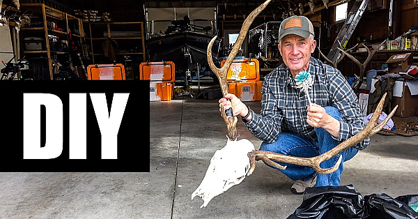 How To Do A European Mount (the Easy Way)