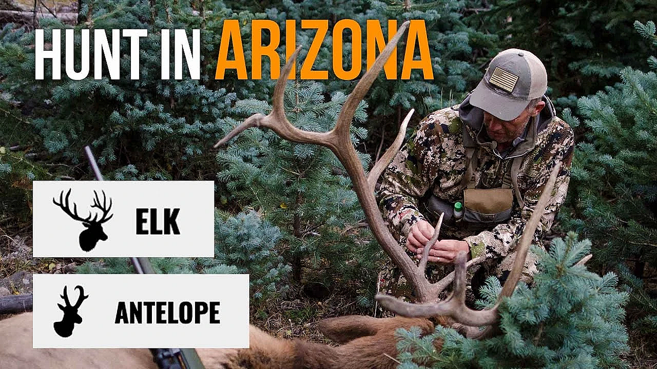Arizona Elk &amp; Pronghorn Application Strategy