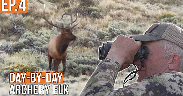 The Search for Randy's Bull | Archery Elk (EP.4)