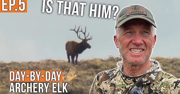 Back for the Bull That Got Away | Archery Elk (EP.5)