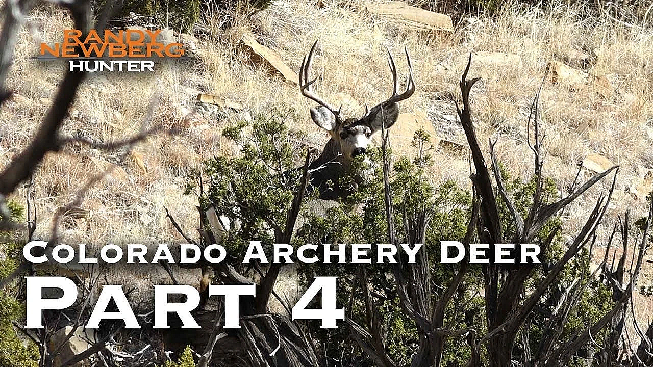 2018 Colorado Archery Deer With Randy Newberg (part 4)