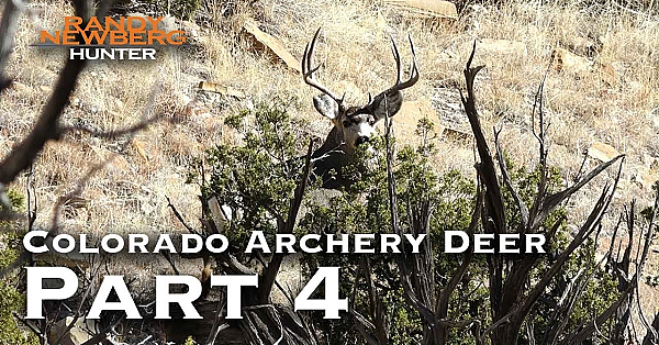 2018 Colorado Archery Deer With Randy Newberg (part 4)