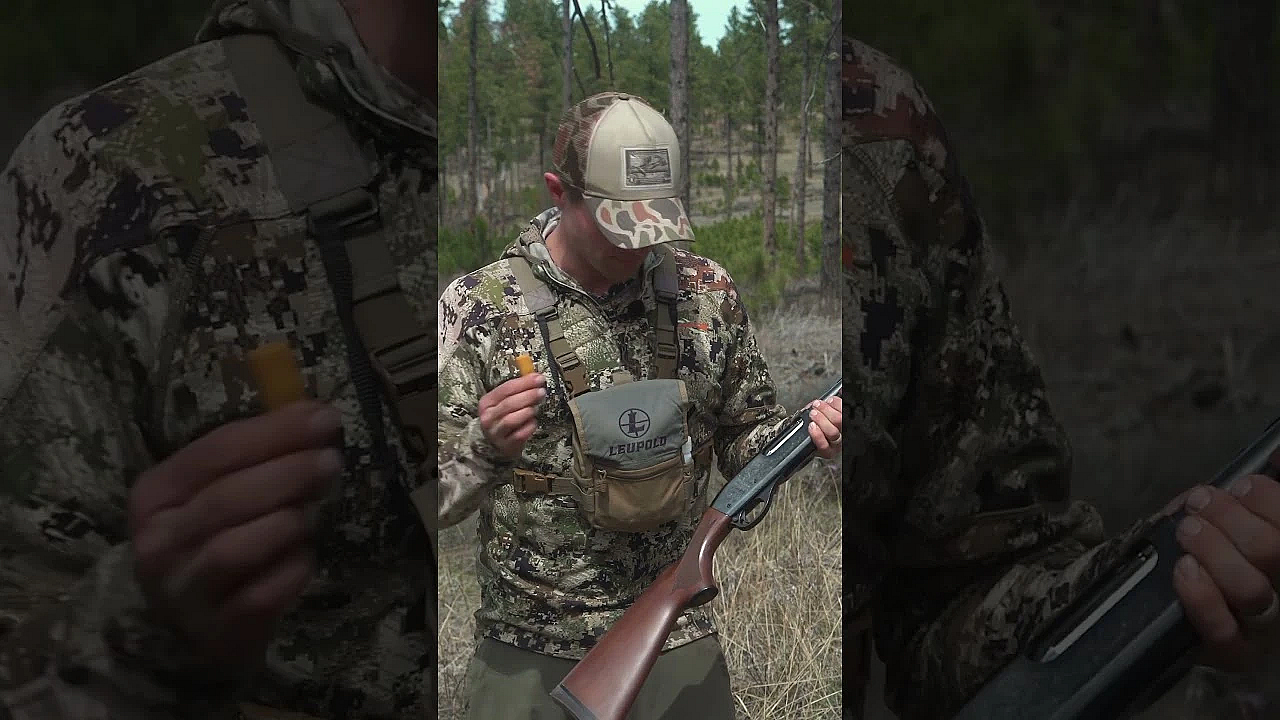 The Only Gear You Need This Spring Turkey Season #turkey #turkeyhunting