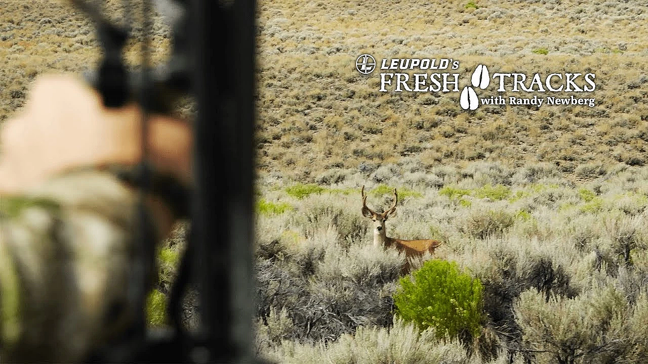 2017 Nevada Mule Deer With Randy Newberg And Scott Jones (amazon Version)