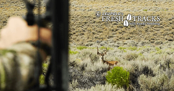 2017 Nevada Mule Deer With Randy Newberg And Scott Jones (amazon Version)