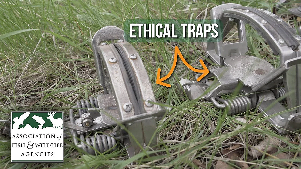 Learn How To Trap! - Best Management Practices