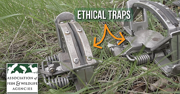 Learn How To Trap! - Best Management Practices