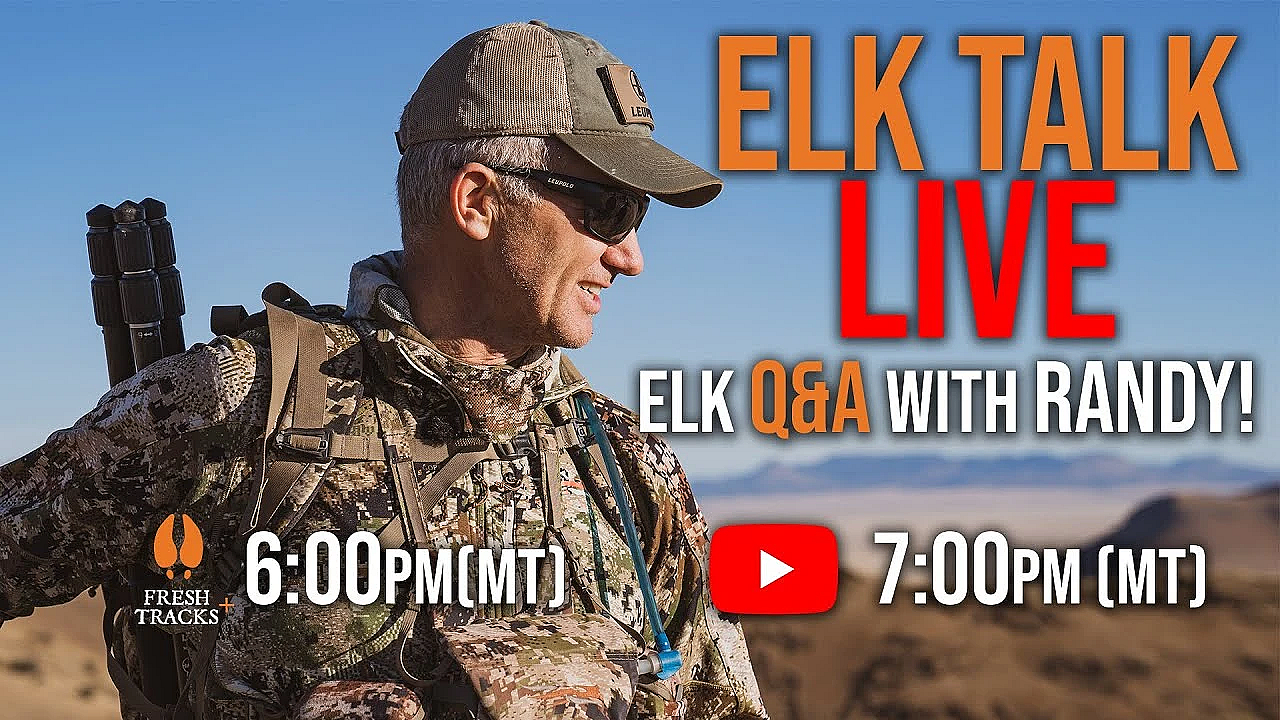 Elk Talk Live! // Ep 113